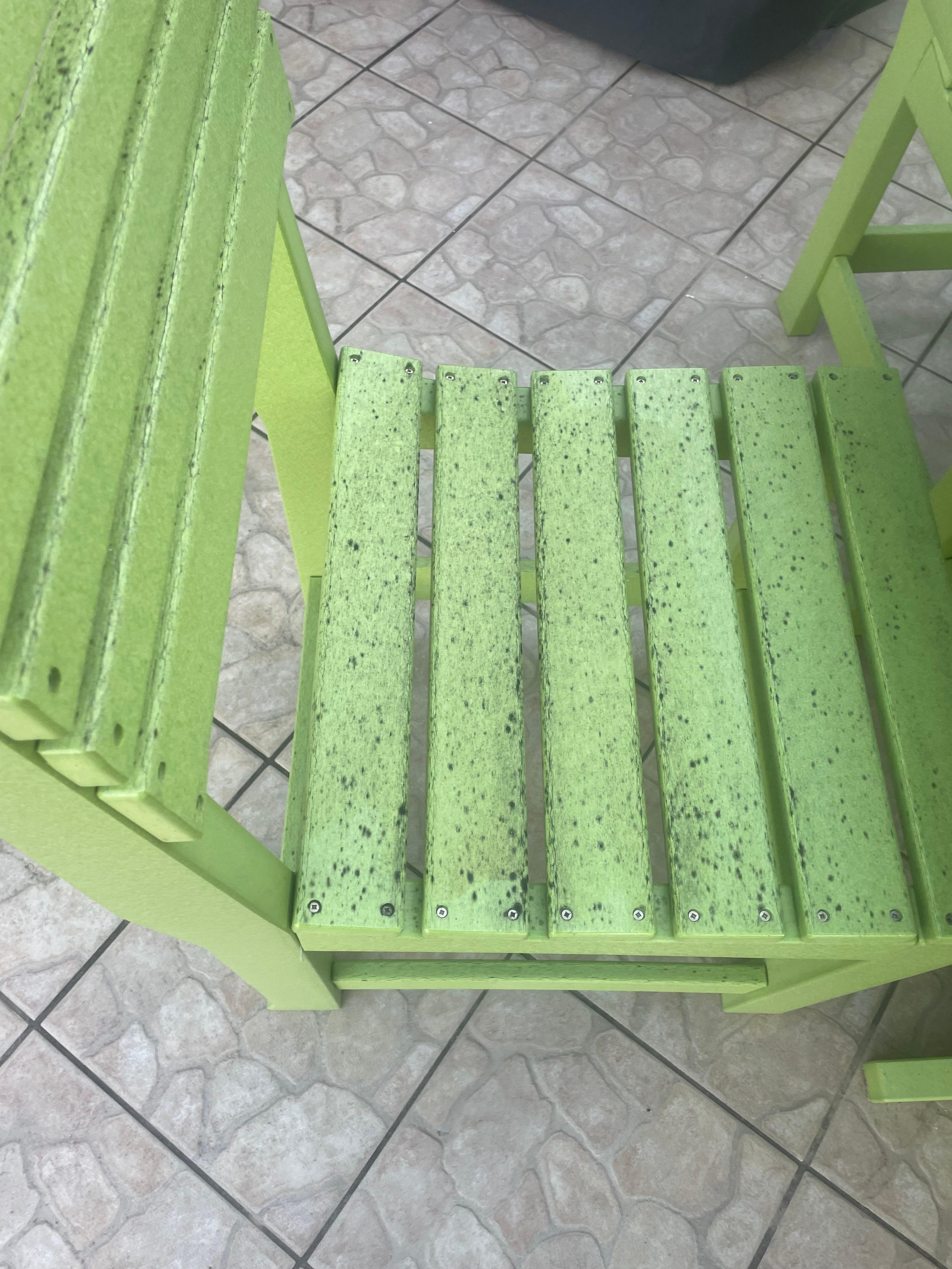 Not only was the table mold infested but the chair too