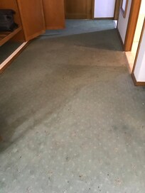 Carpete muito sujo e manchado