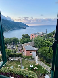 Early morning garden view