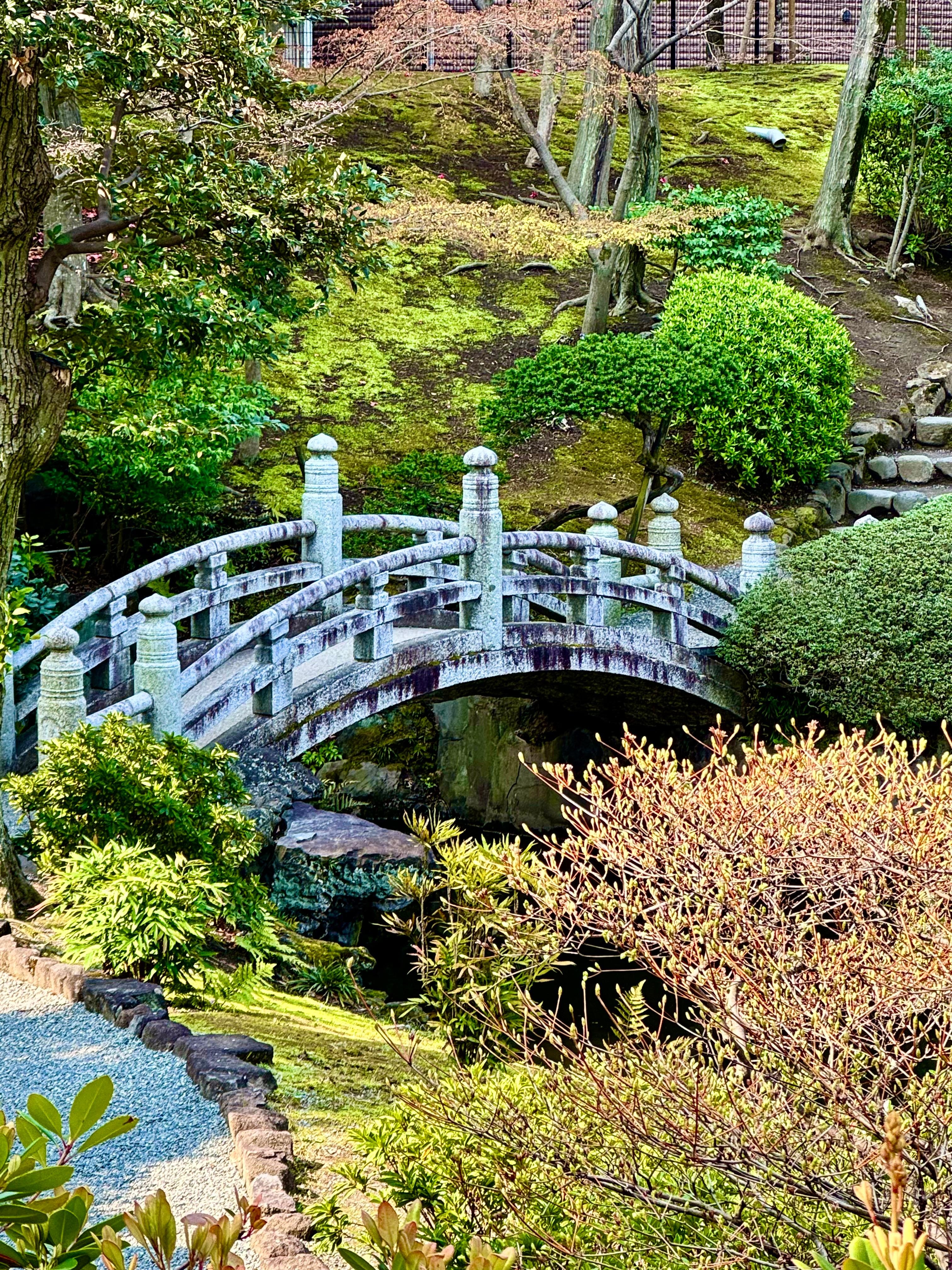 Small but pretty park right across the street, just have to walk up a little bit to the entrance