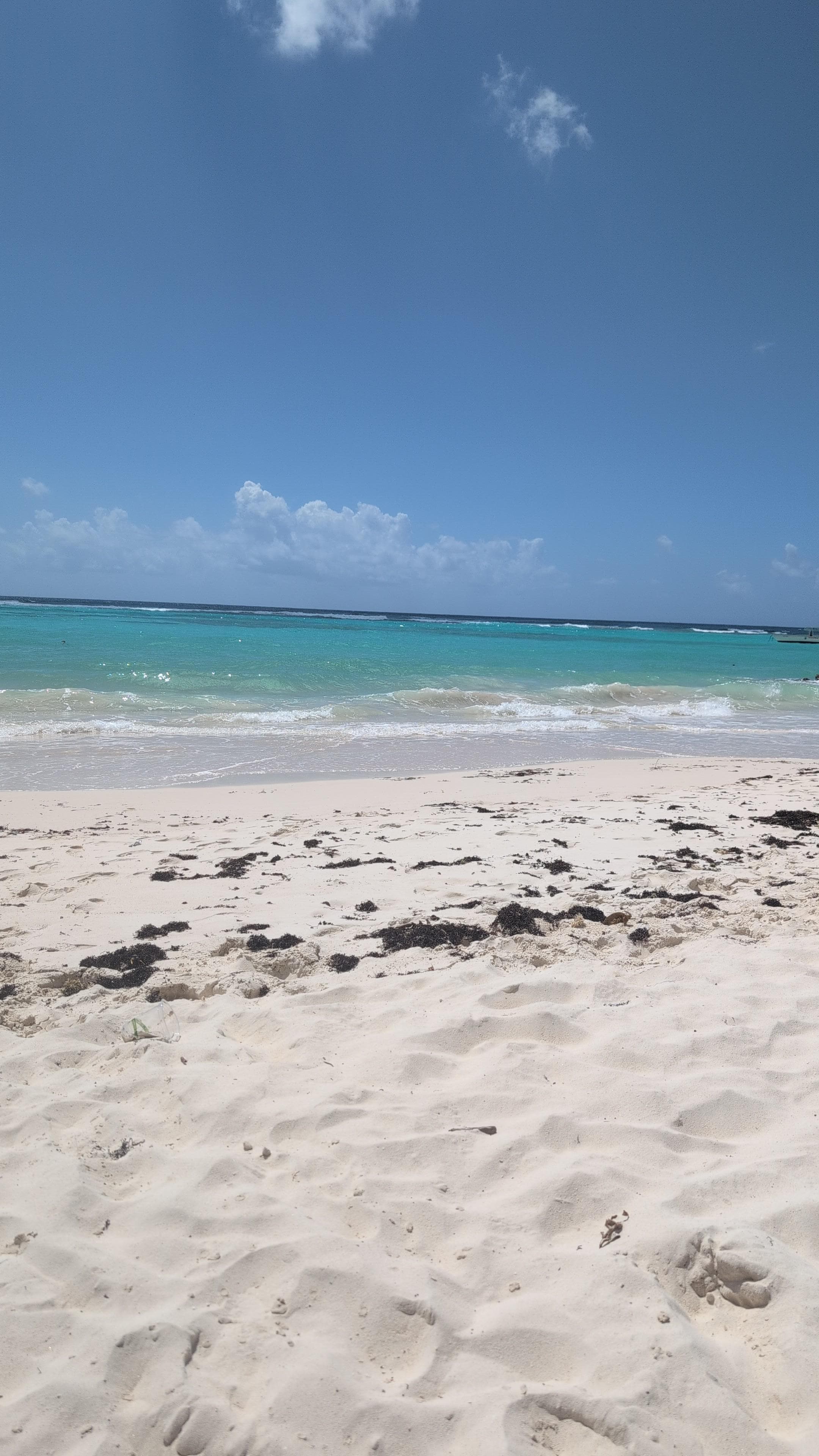 The best beach is at your service.