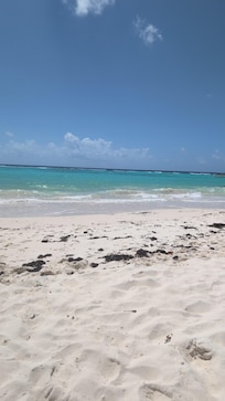 The best beach is at your service.