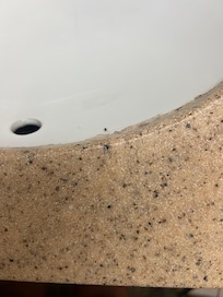Bug in sink