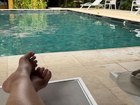 Watching a Kiskadee at the pool