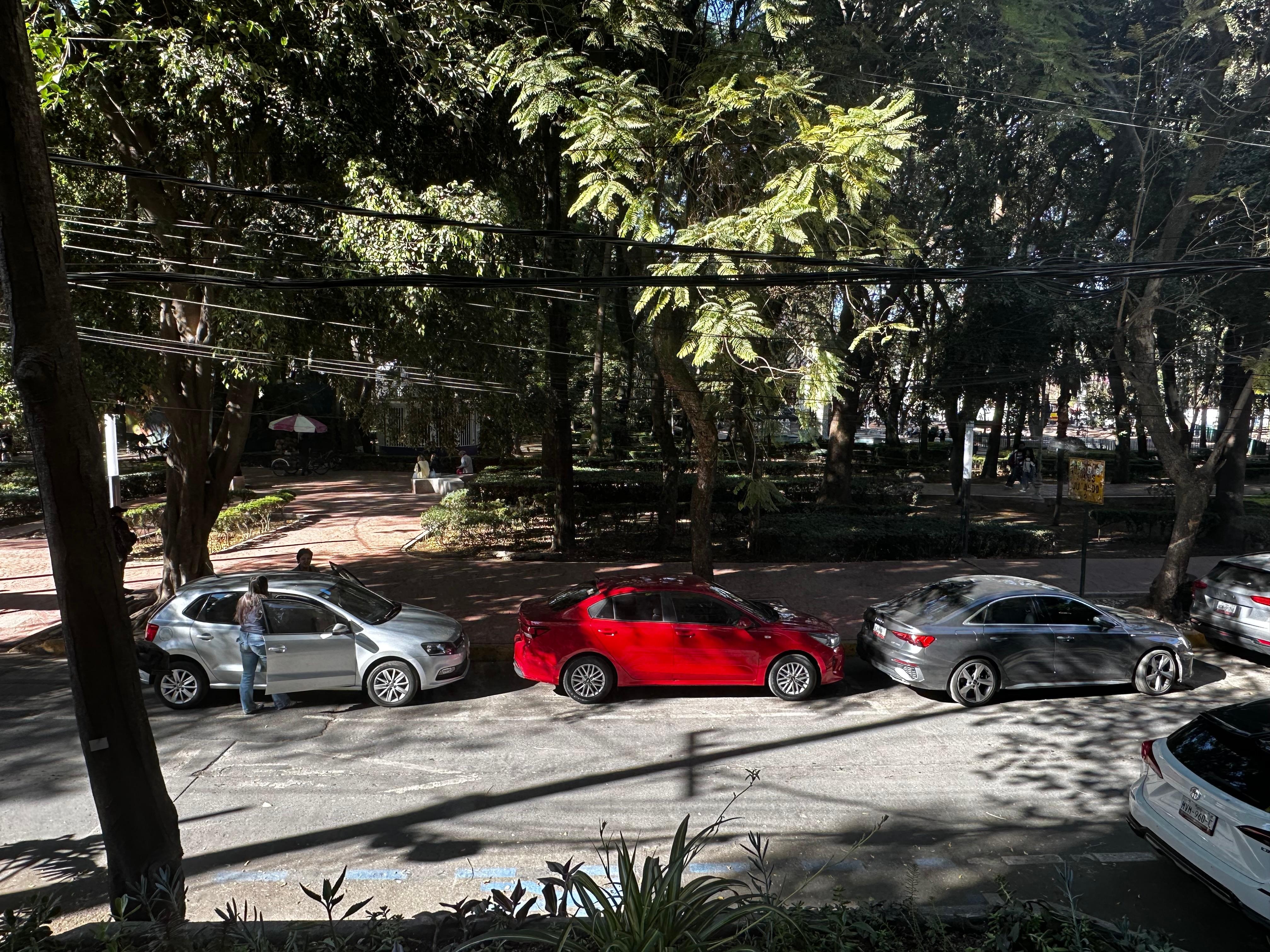 View from first floor stairwell landing of Parque Mexico across the street 