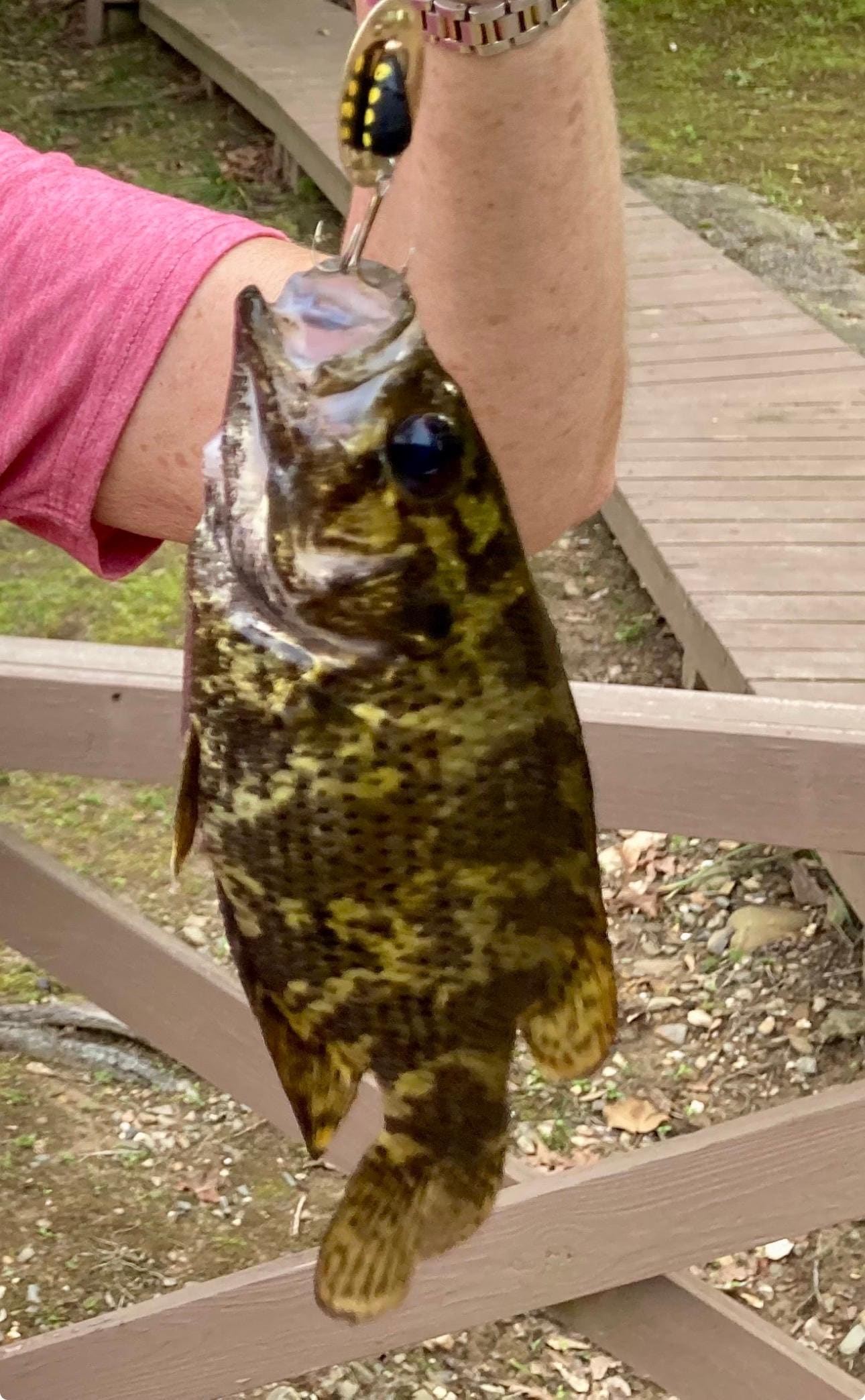 Shadow bass