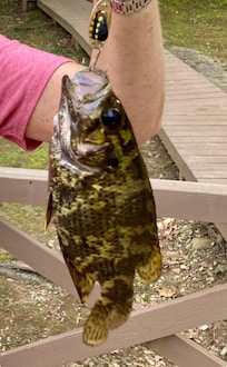 Shadow bass