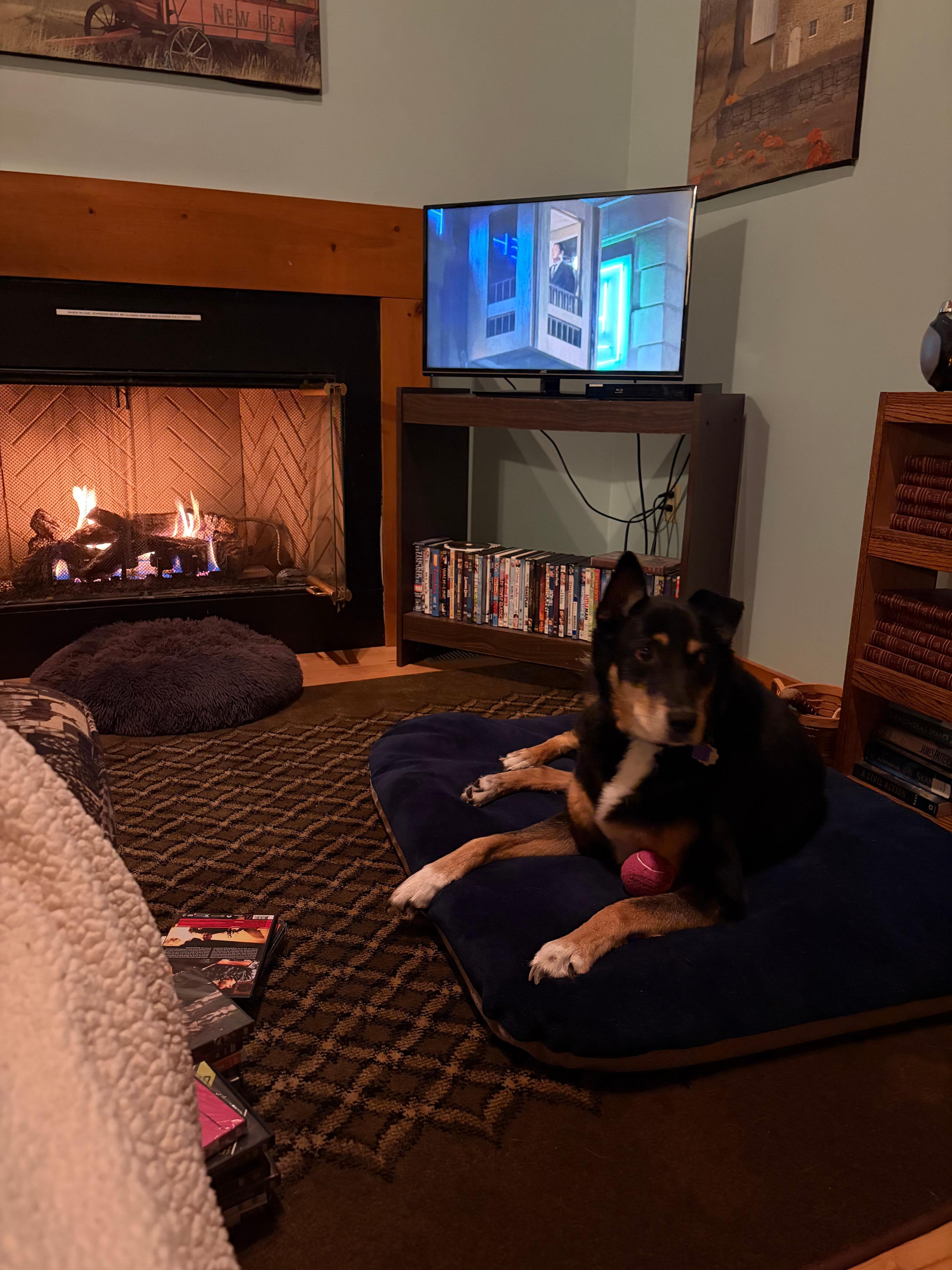 Relaxing by the fire 
