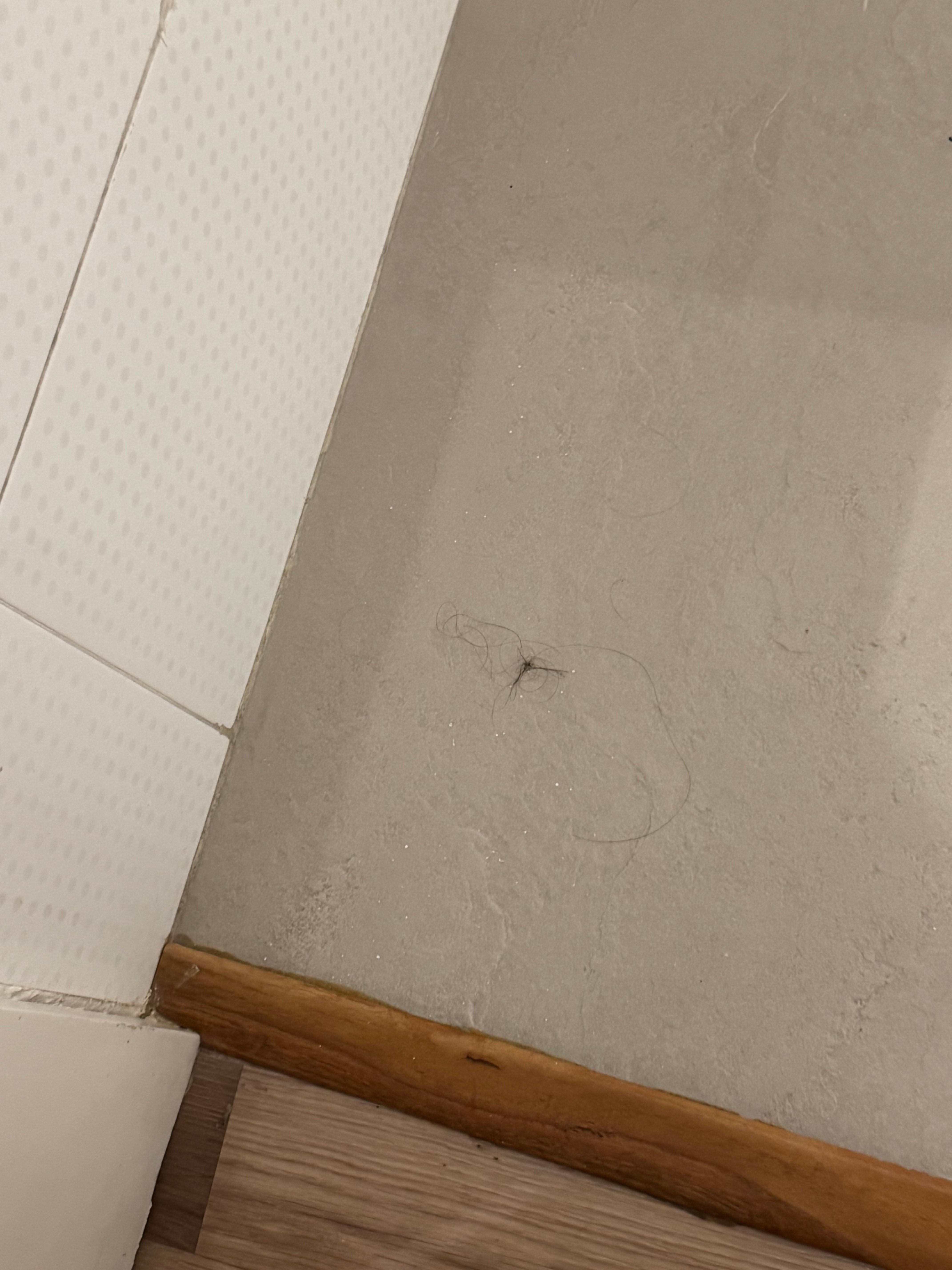 Hair in bathroom