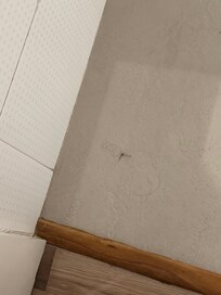 Hair in bathroom