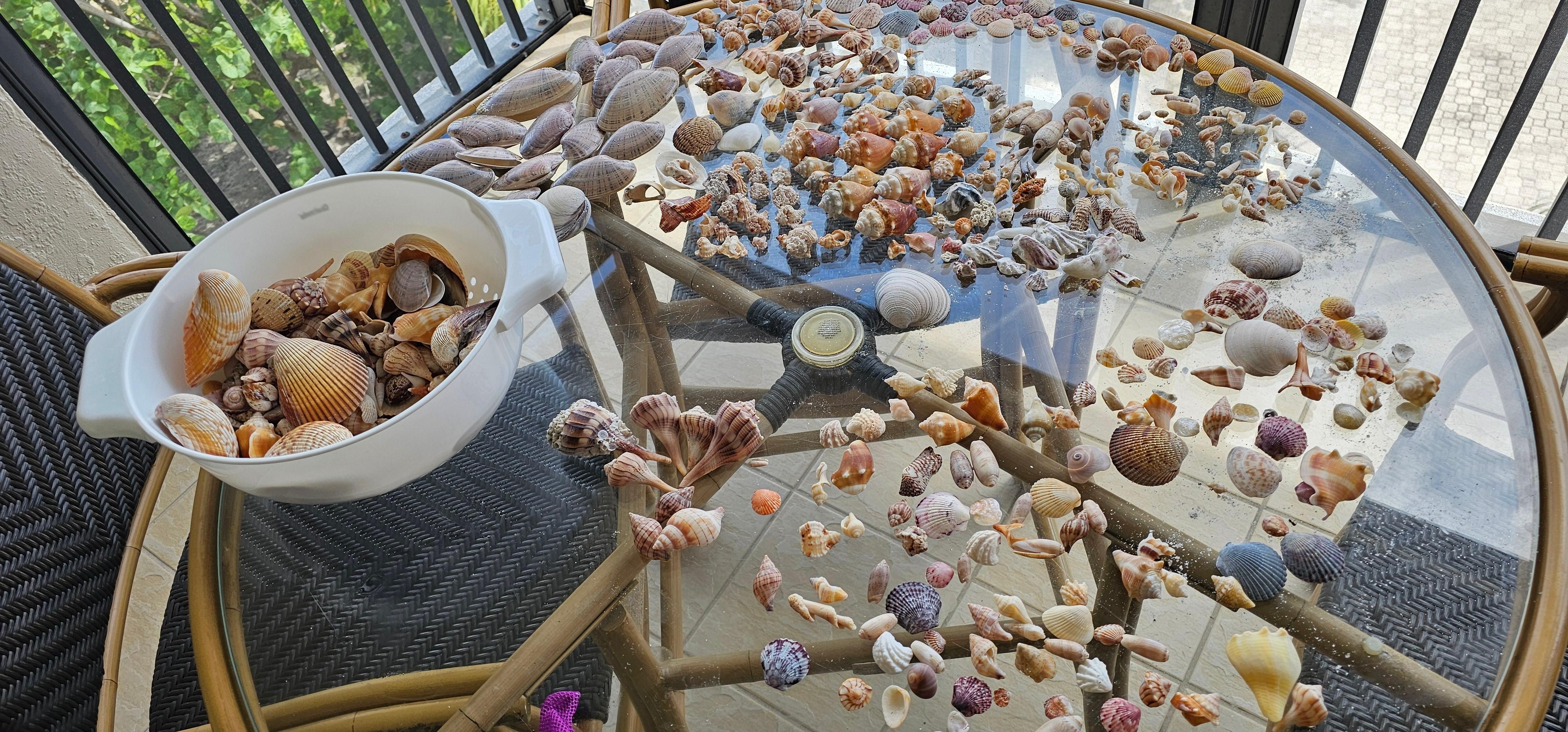 Went to the beach every day.