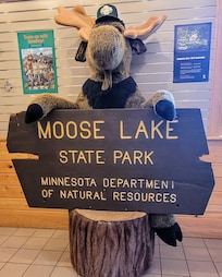 Moose Lake State Park and agate museum