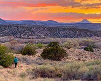 Returning to studio after a walk in the evening behind it.
