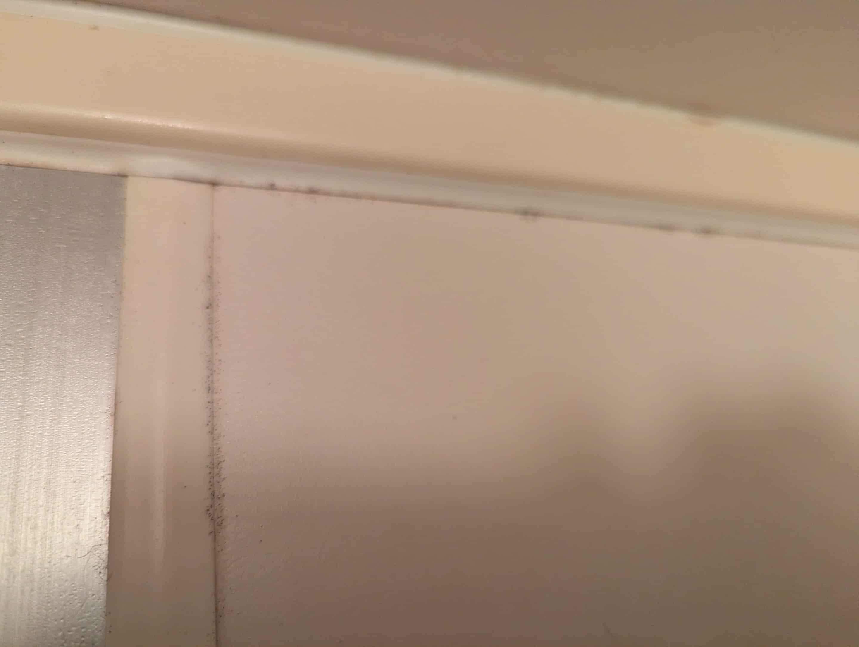 Moldy walls in bathroom 