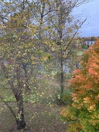 Room view