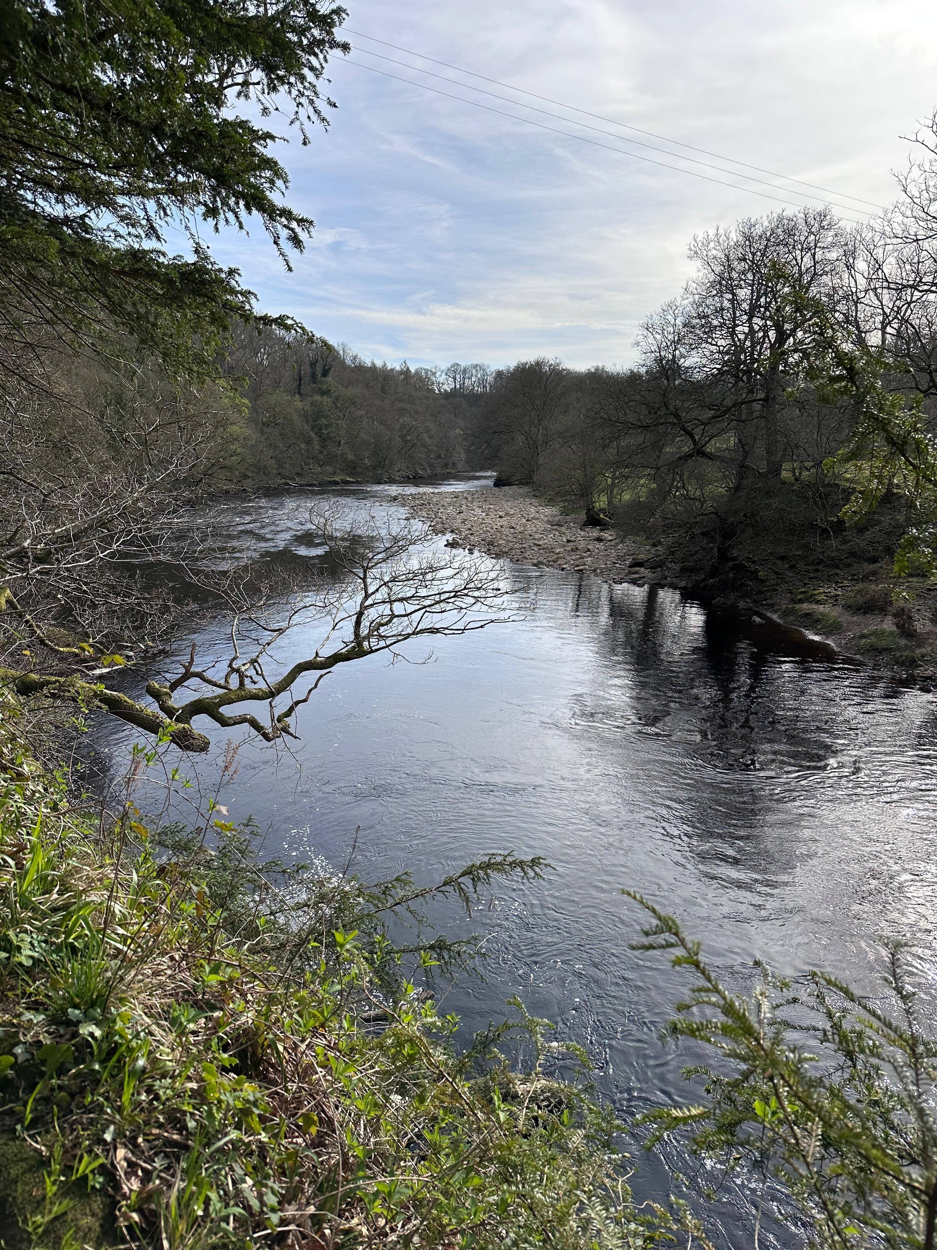 Cotherstone>Barnard Castle, East bank of the Tees