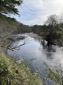 Cotherstone>Barnard Castle, East bank of the Tees