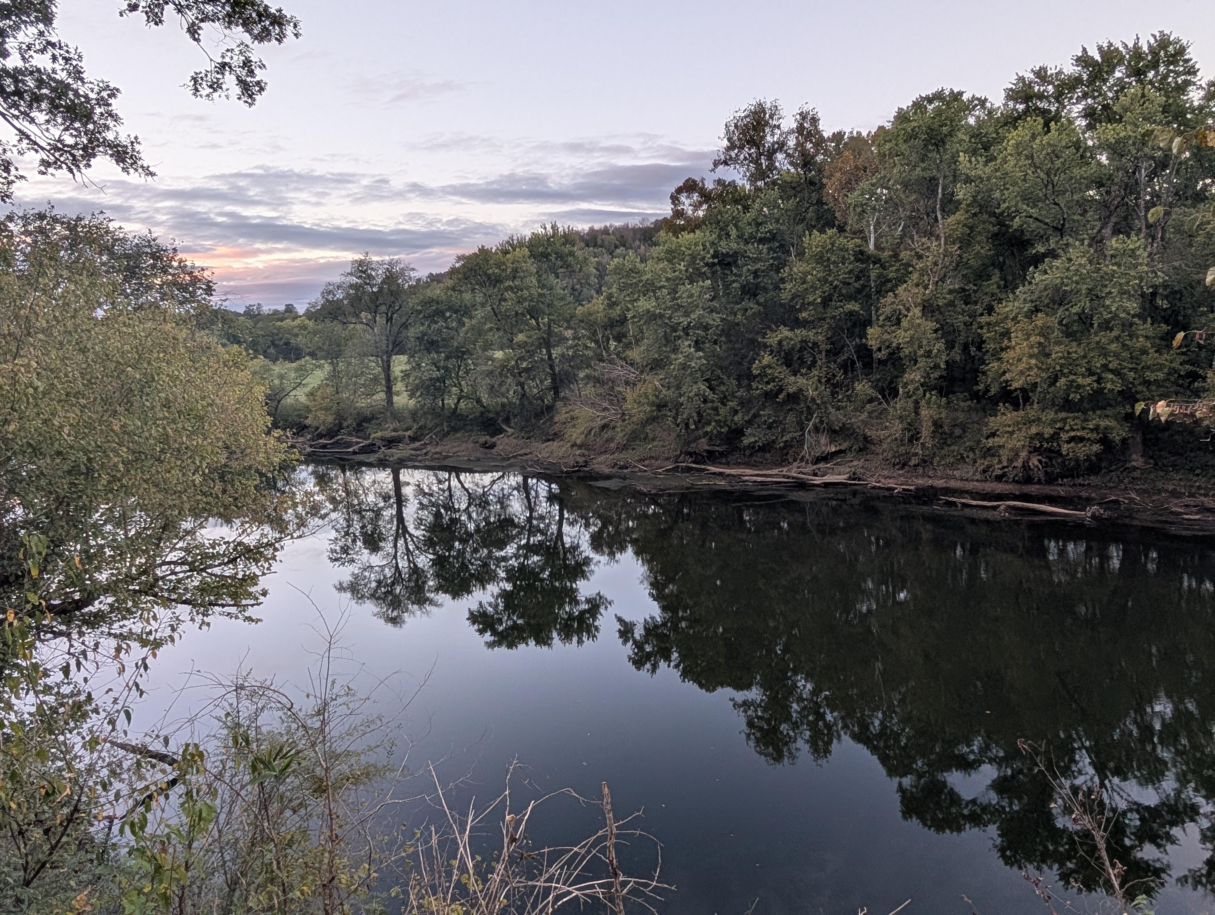 View of the river from the back yard