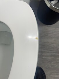Toilet seat had a burnt mark