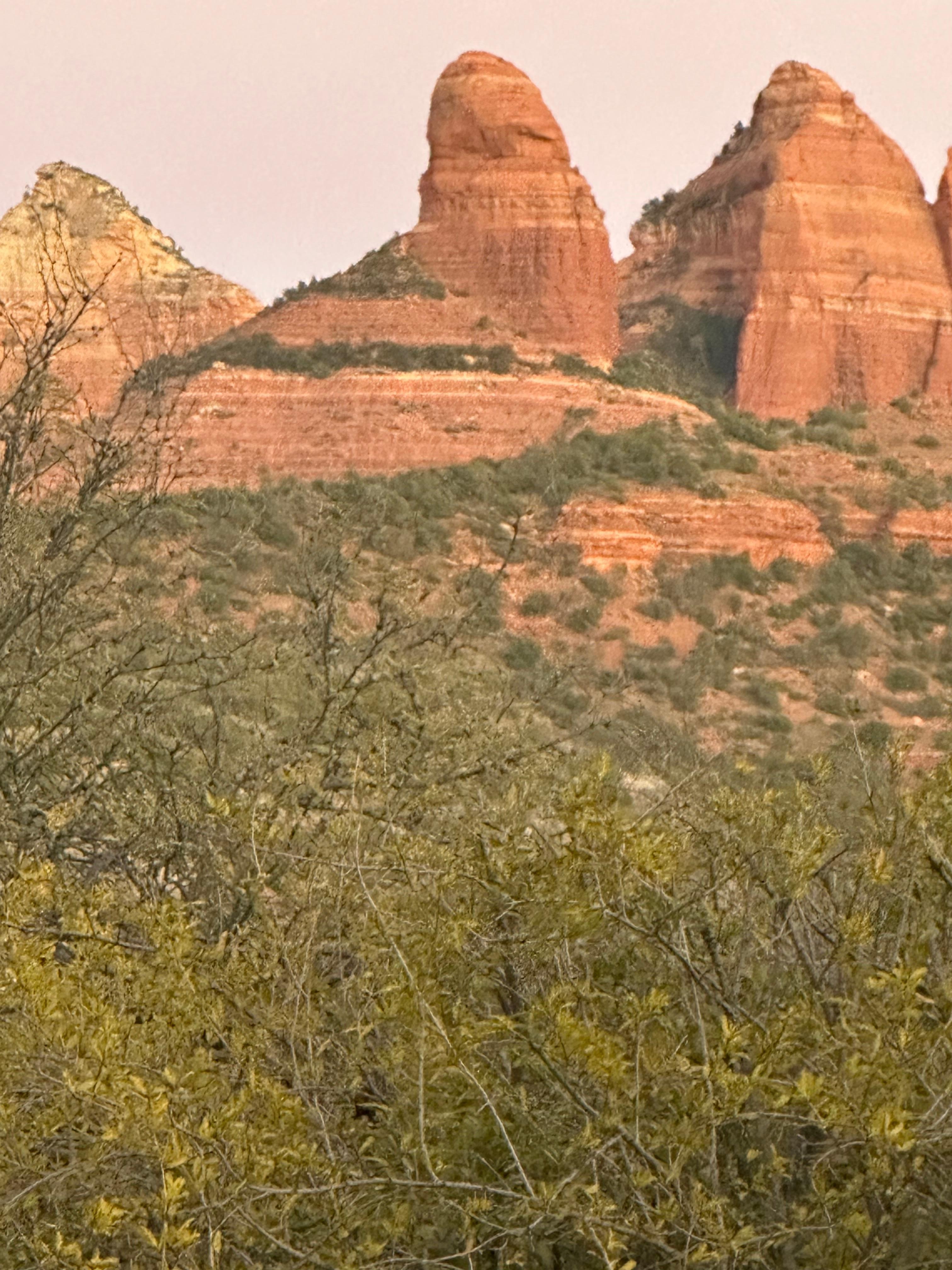 View from the back patio