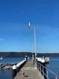 Patonga wharf