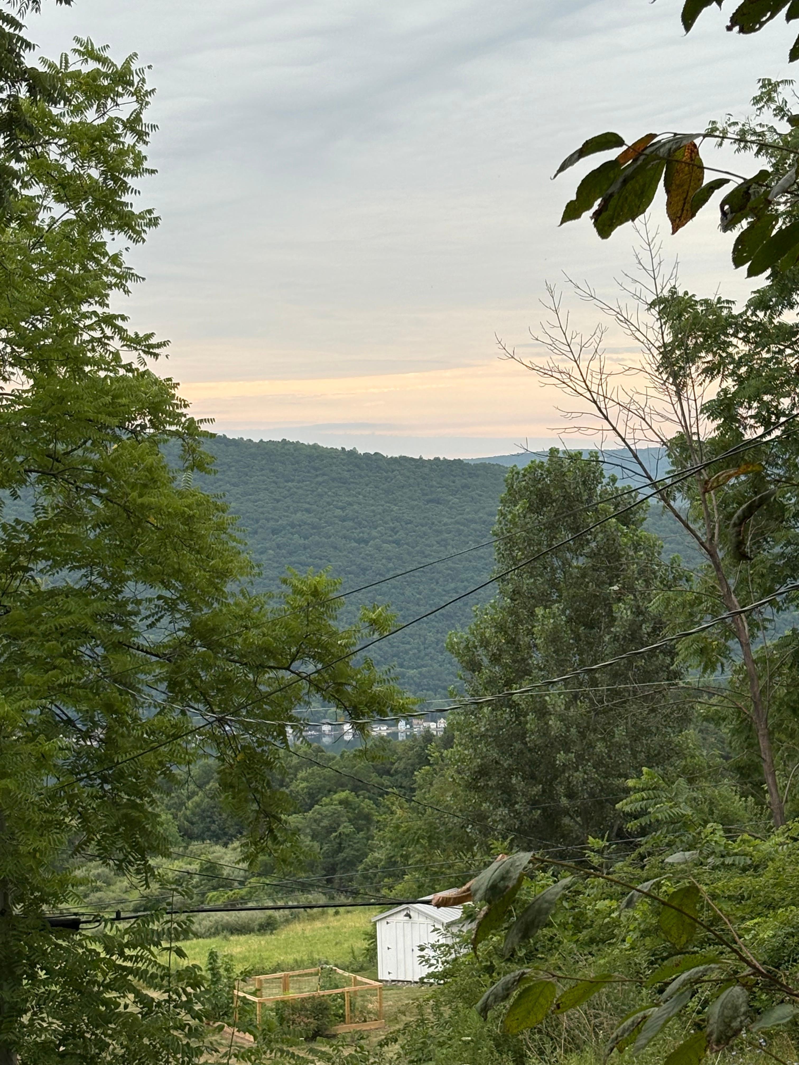 View from Cabin❤️