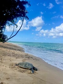 Our walk on the beach