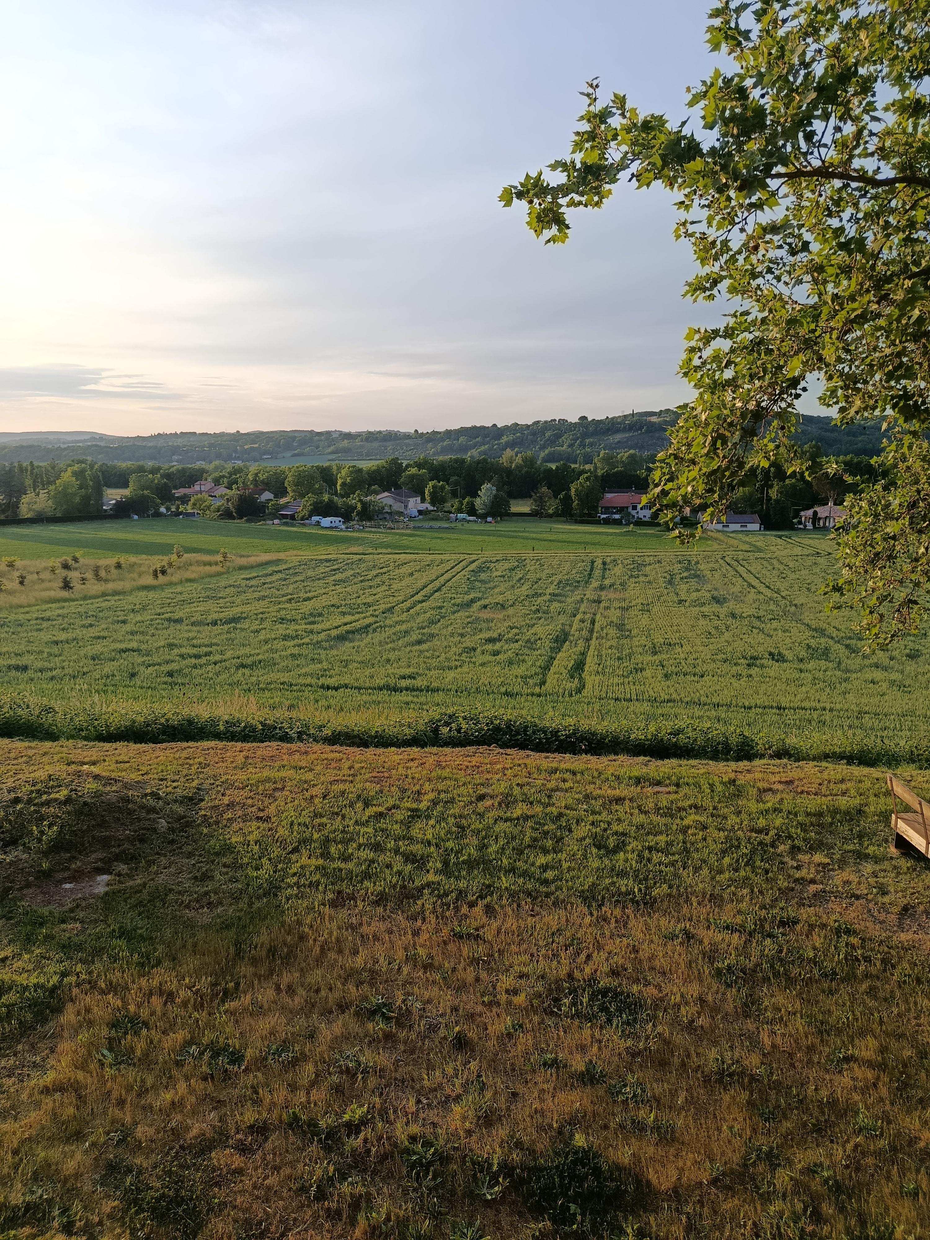 Vue de la fenêtre 