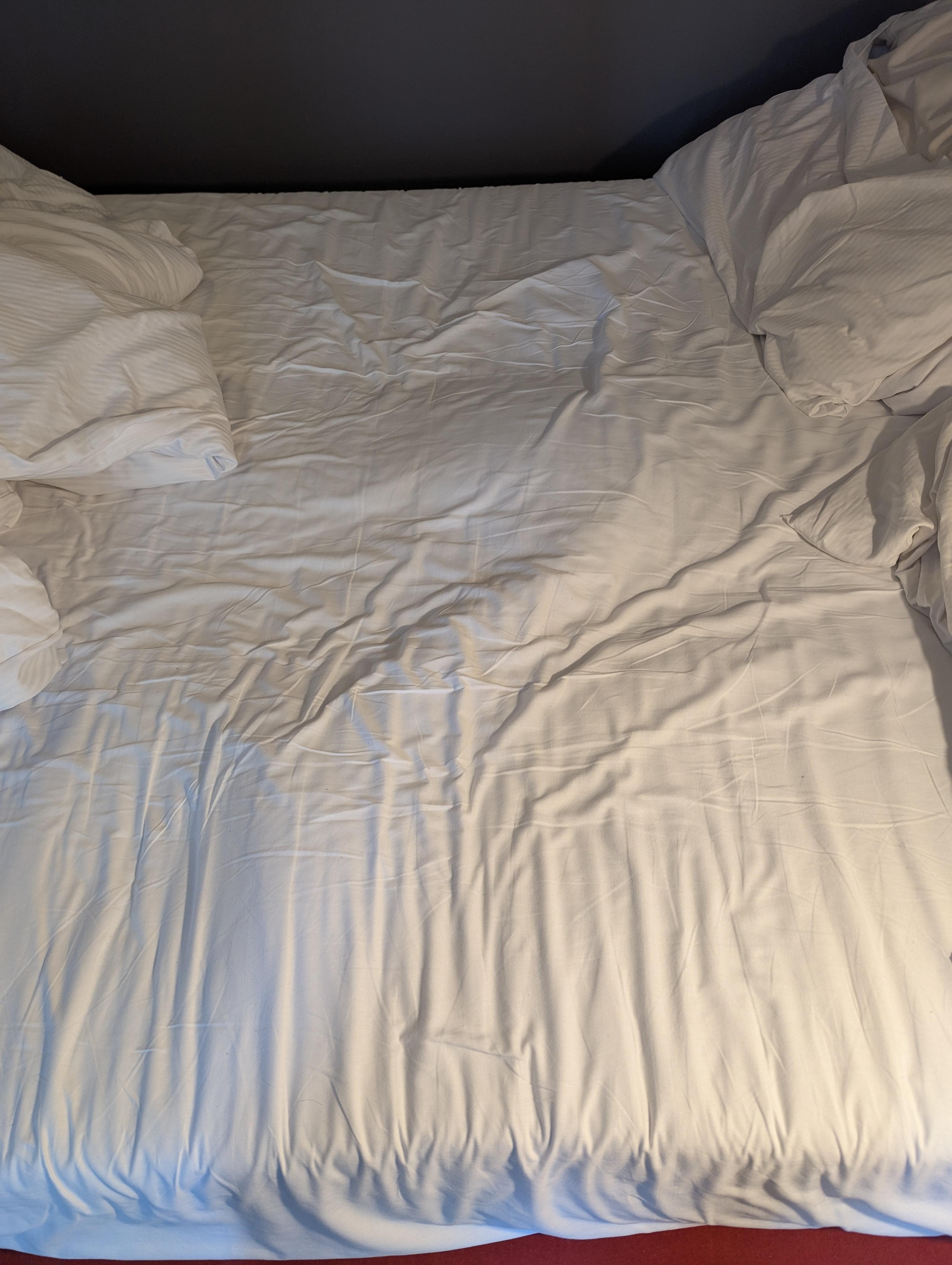 This was the lumpy mattress. Absolutely unusable.