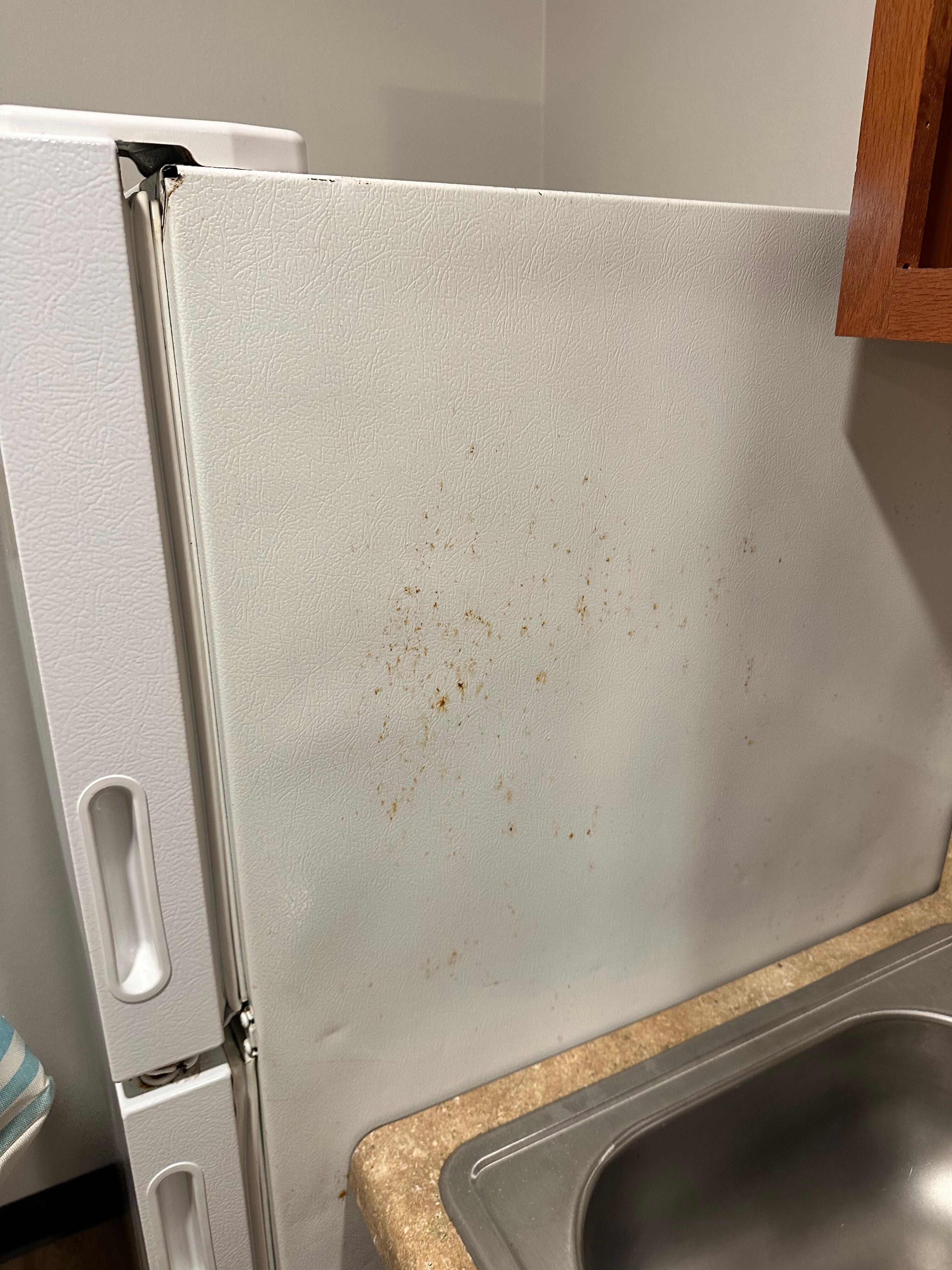 Stain all over the side of the refrigerator, it needs to be cleaned or replace!