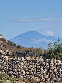 View from the backyard