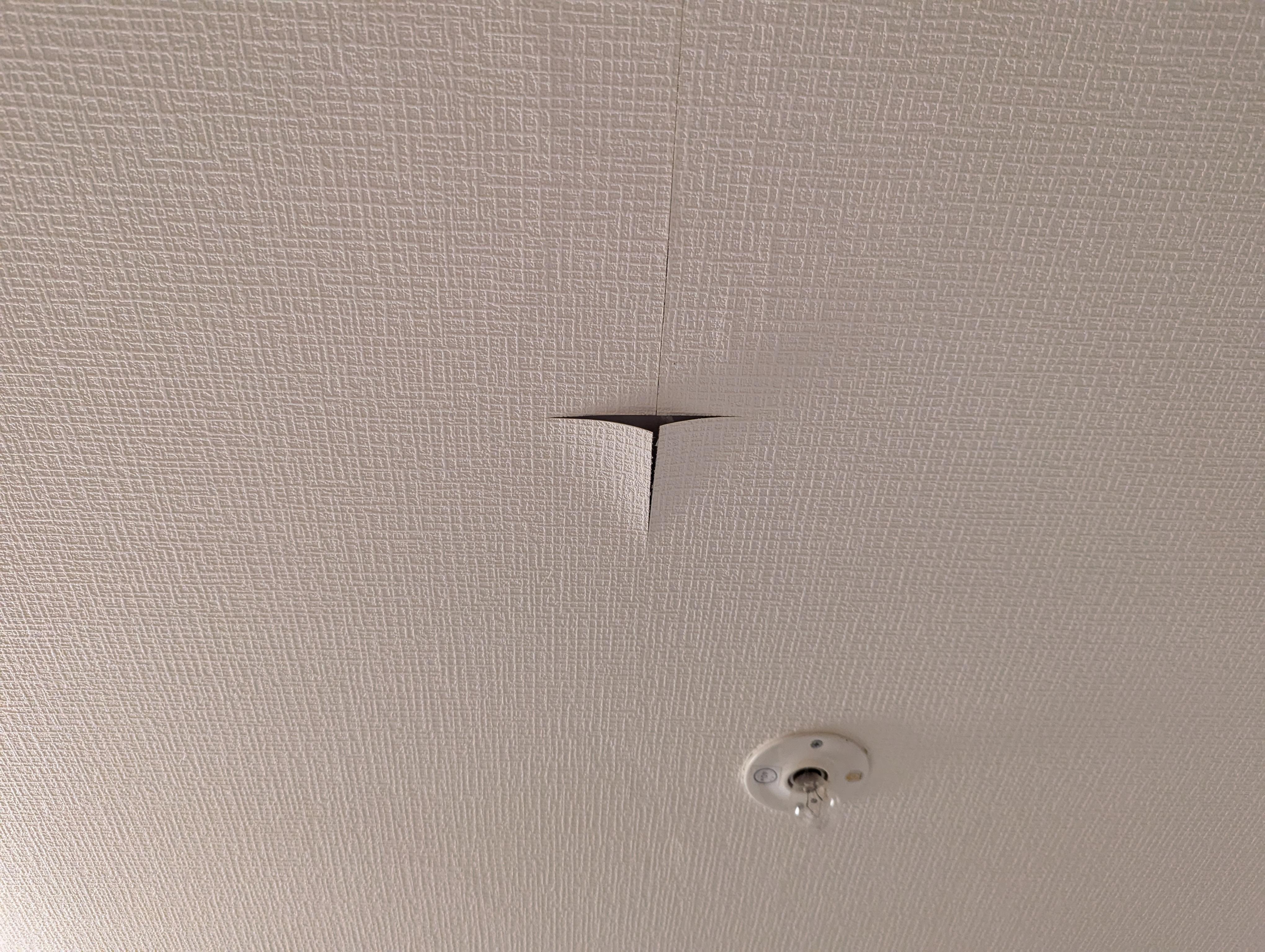 peeling ceiling paint