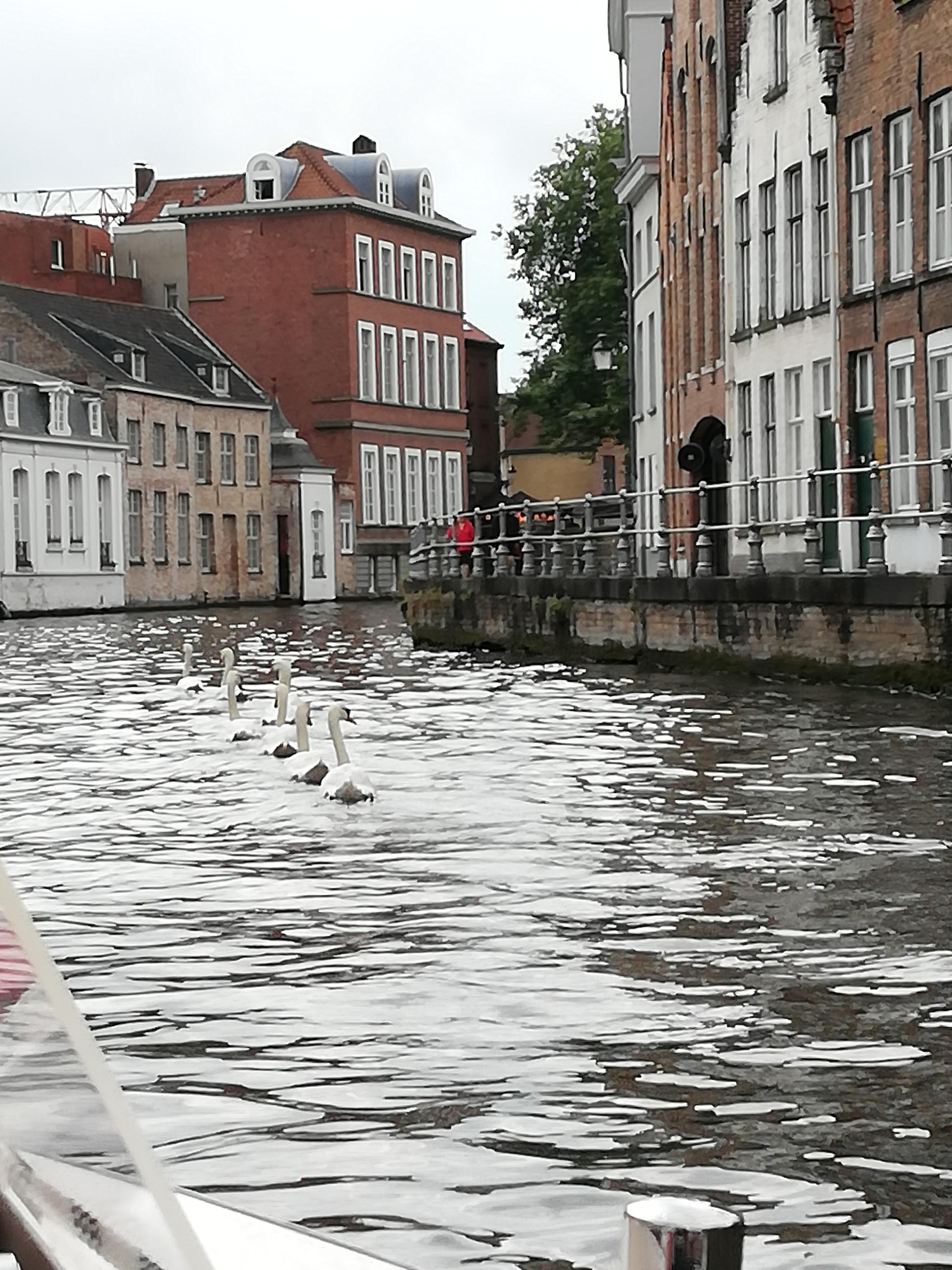 balade en bateau 