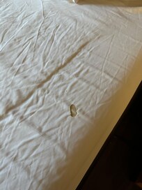 A “non smoking” cig hole