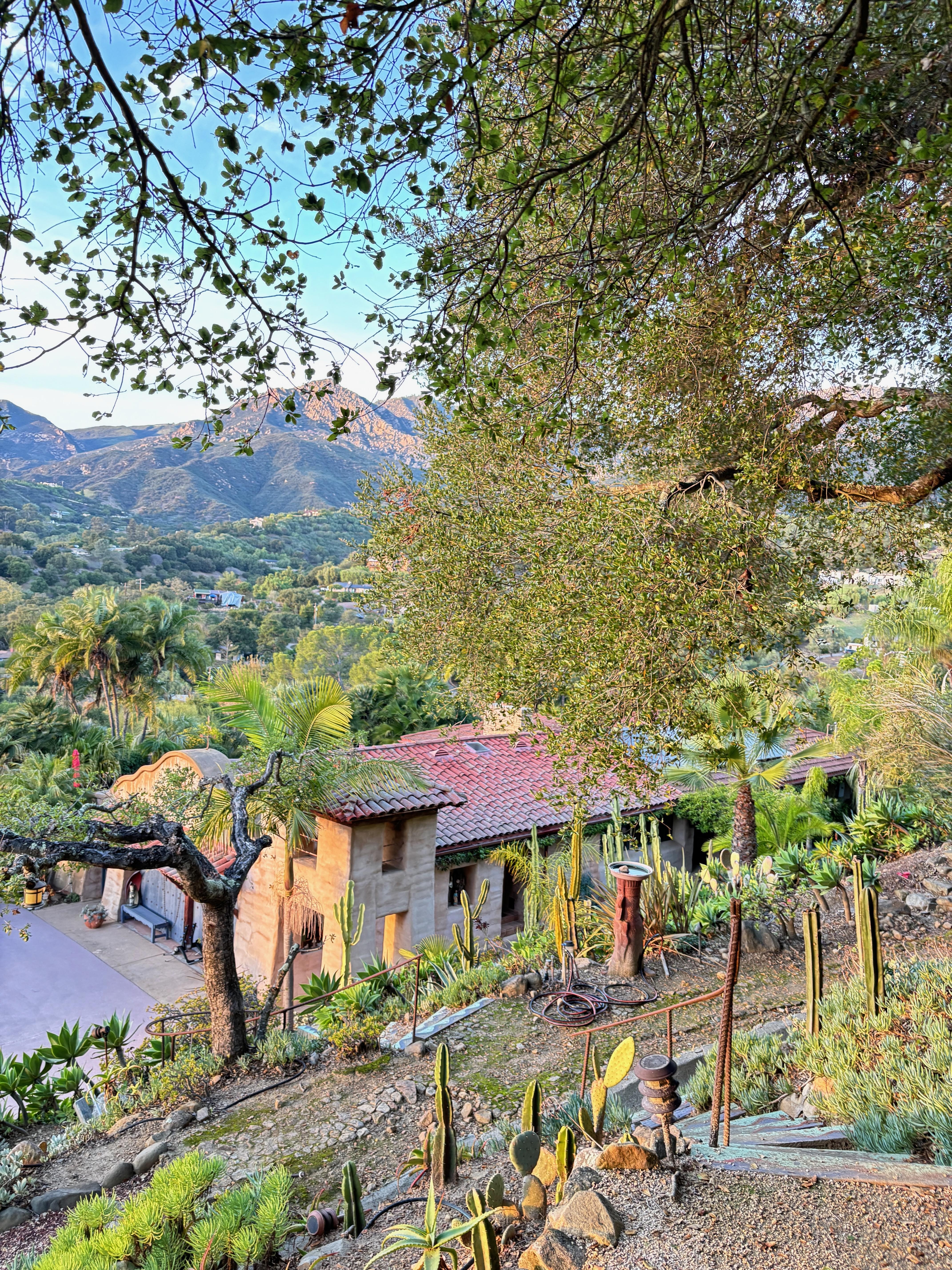 View of house from gardens above