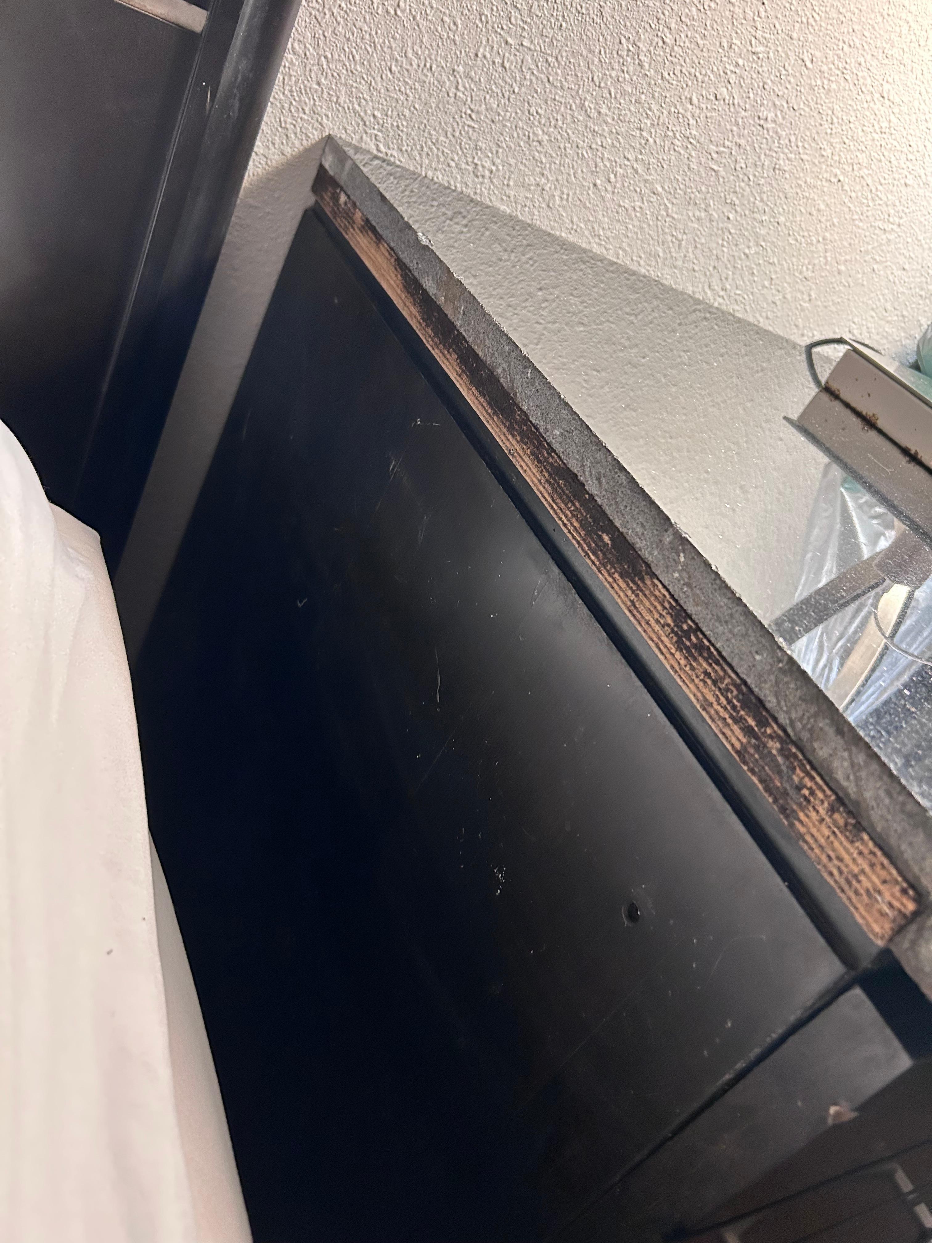 Mold growing in the bedside table