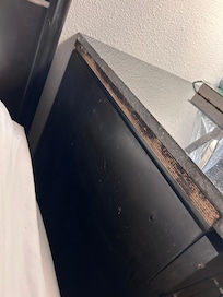 Mold growing in the bedside table