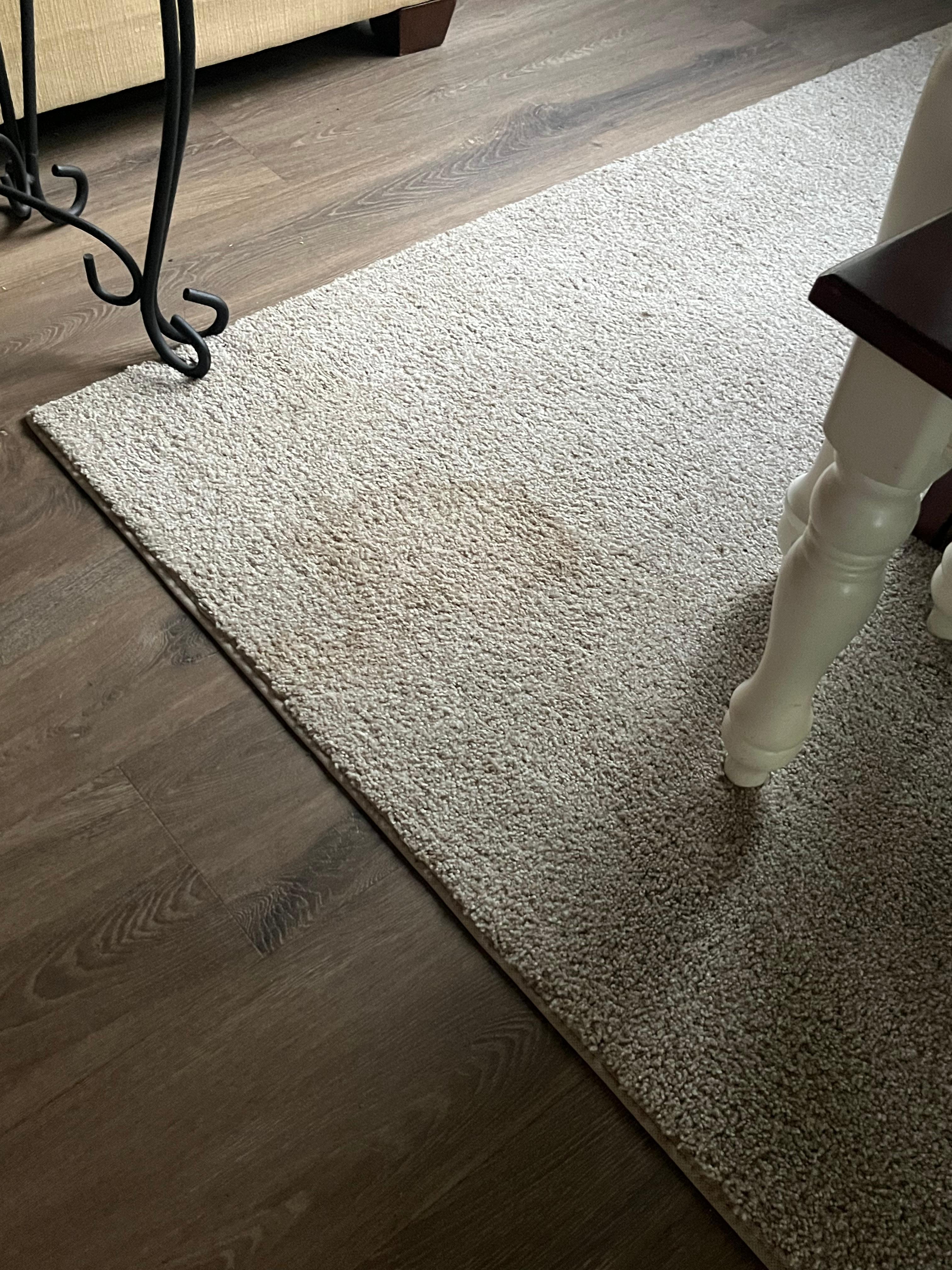 Stain in sunroom 
