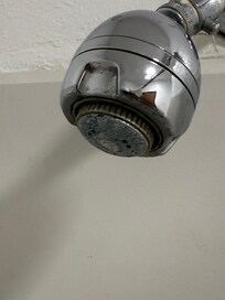 Mold mildew and hard water