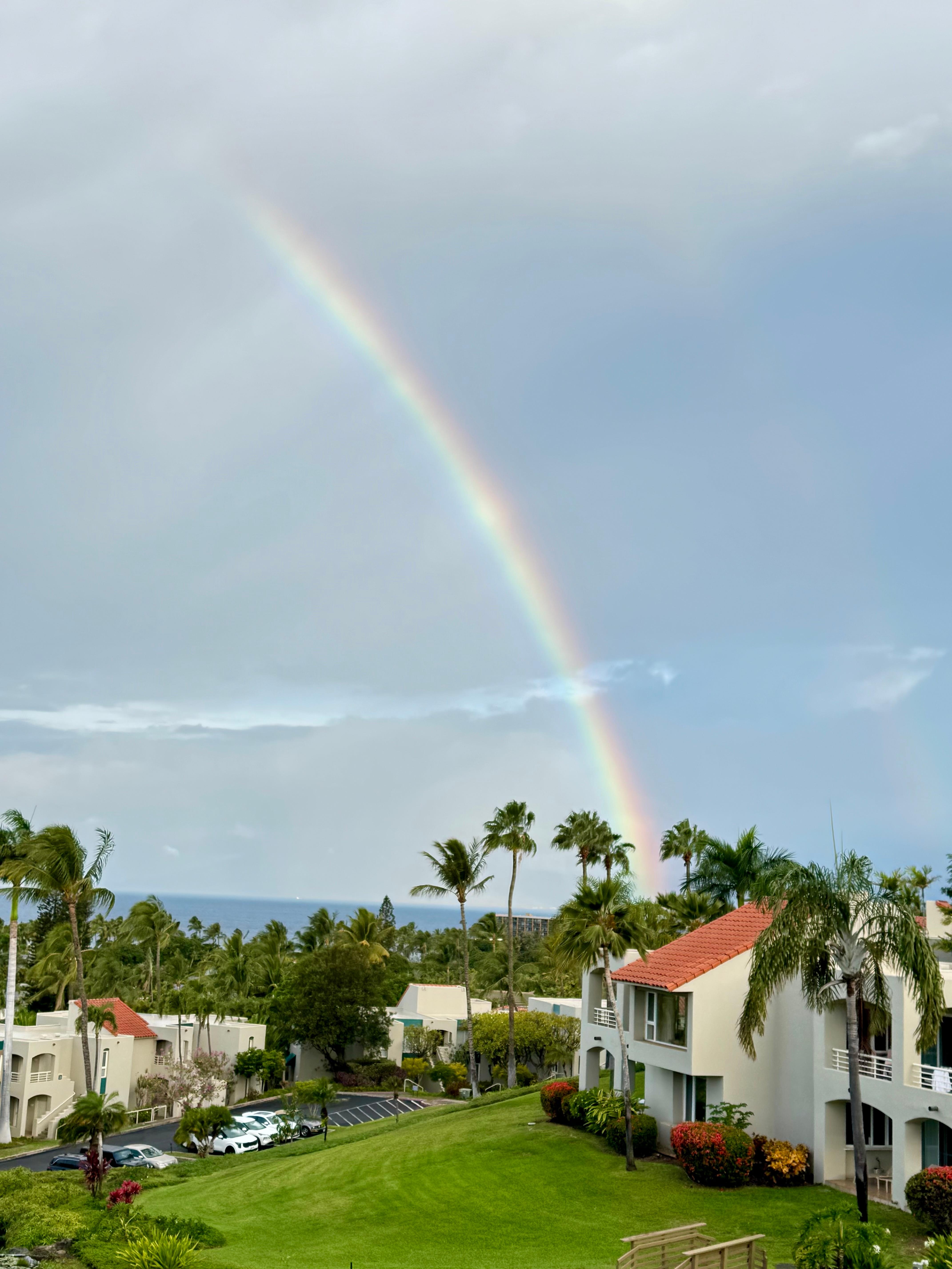 Morning view with my coffee 