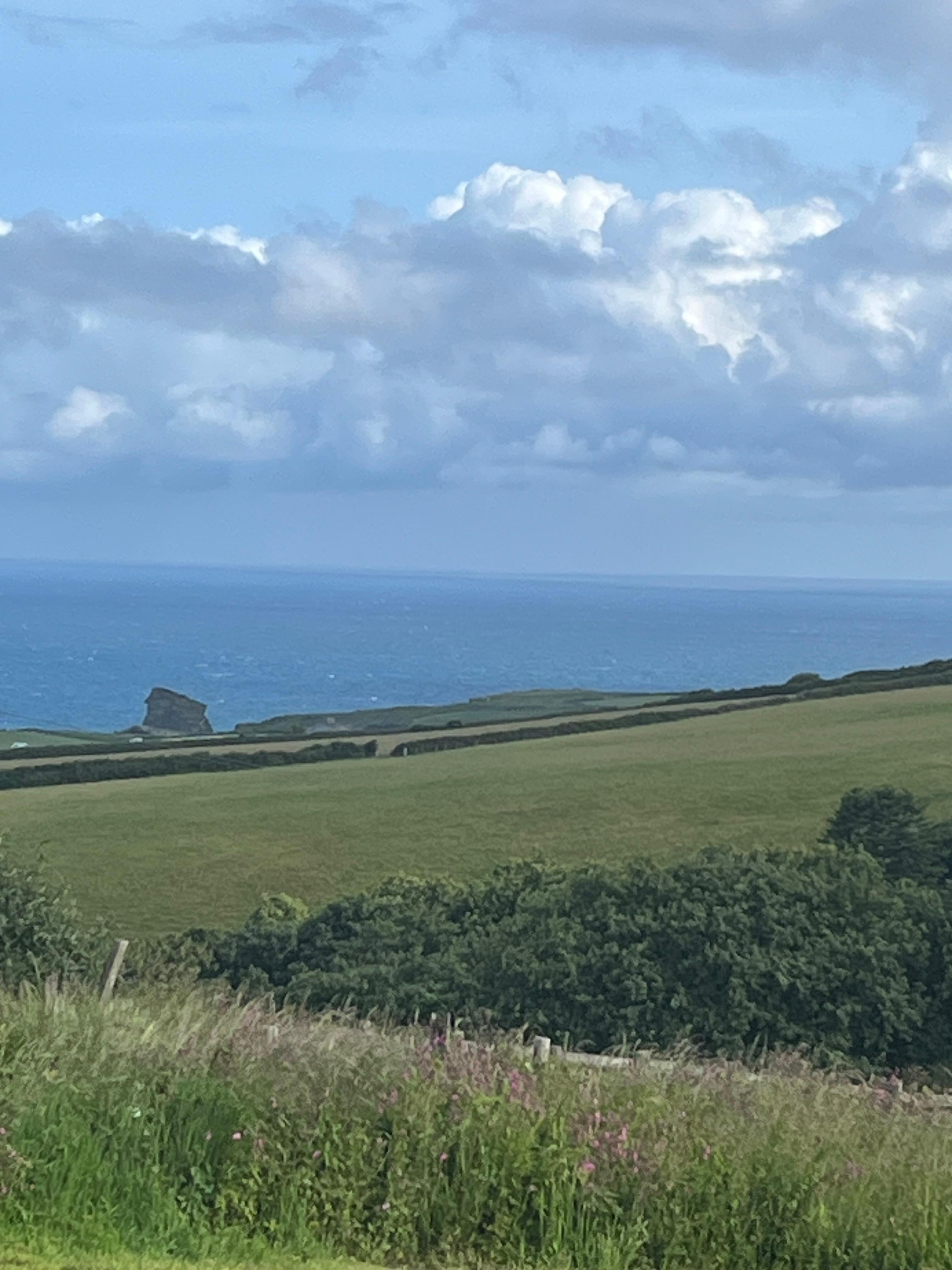 View from cottage