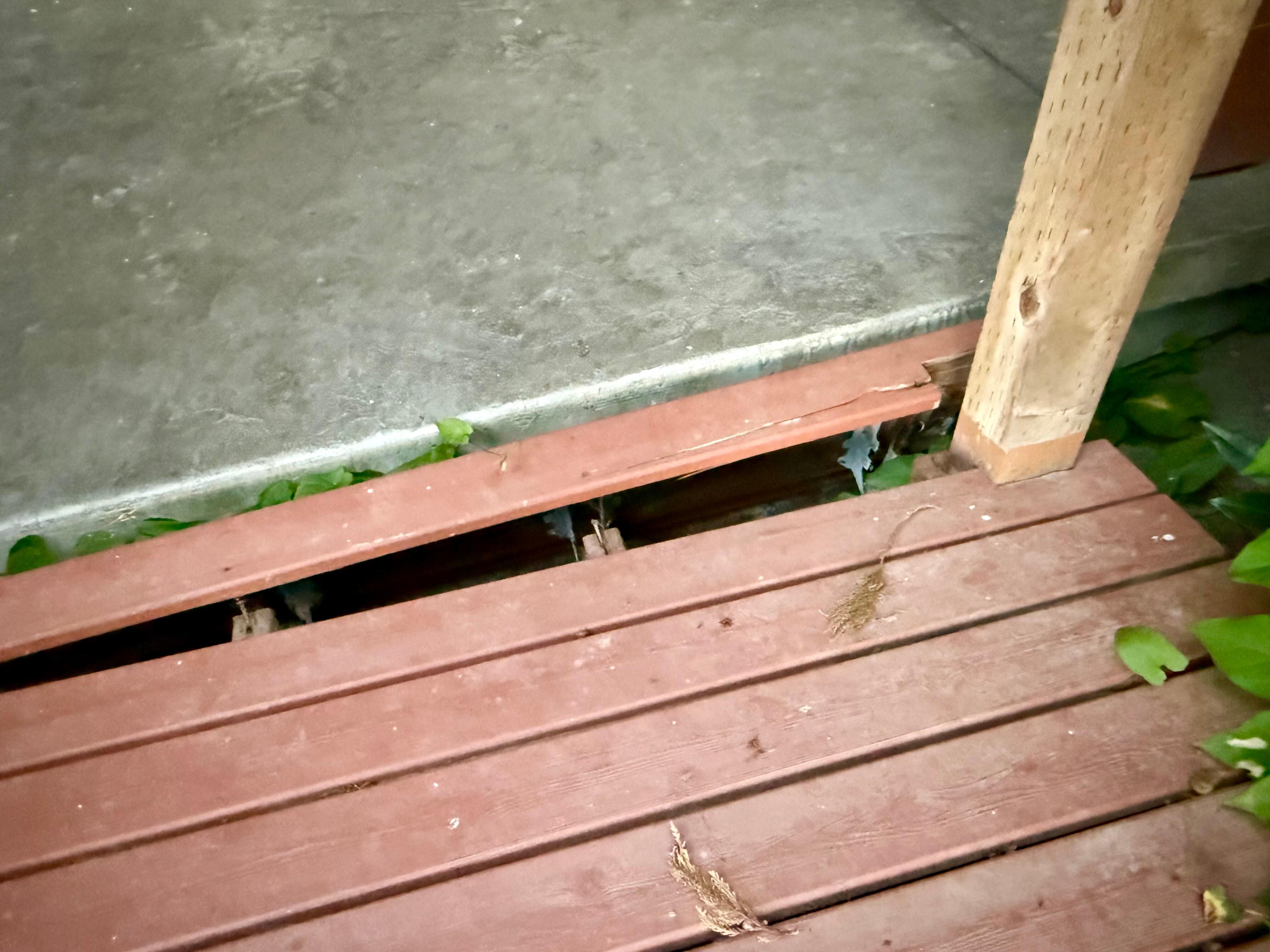 Picture doesn’t do the stairs separation from foundation justice.