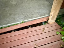 Picture doesn’t do the stairs separation from foundation justice.