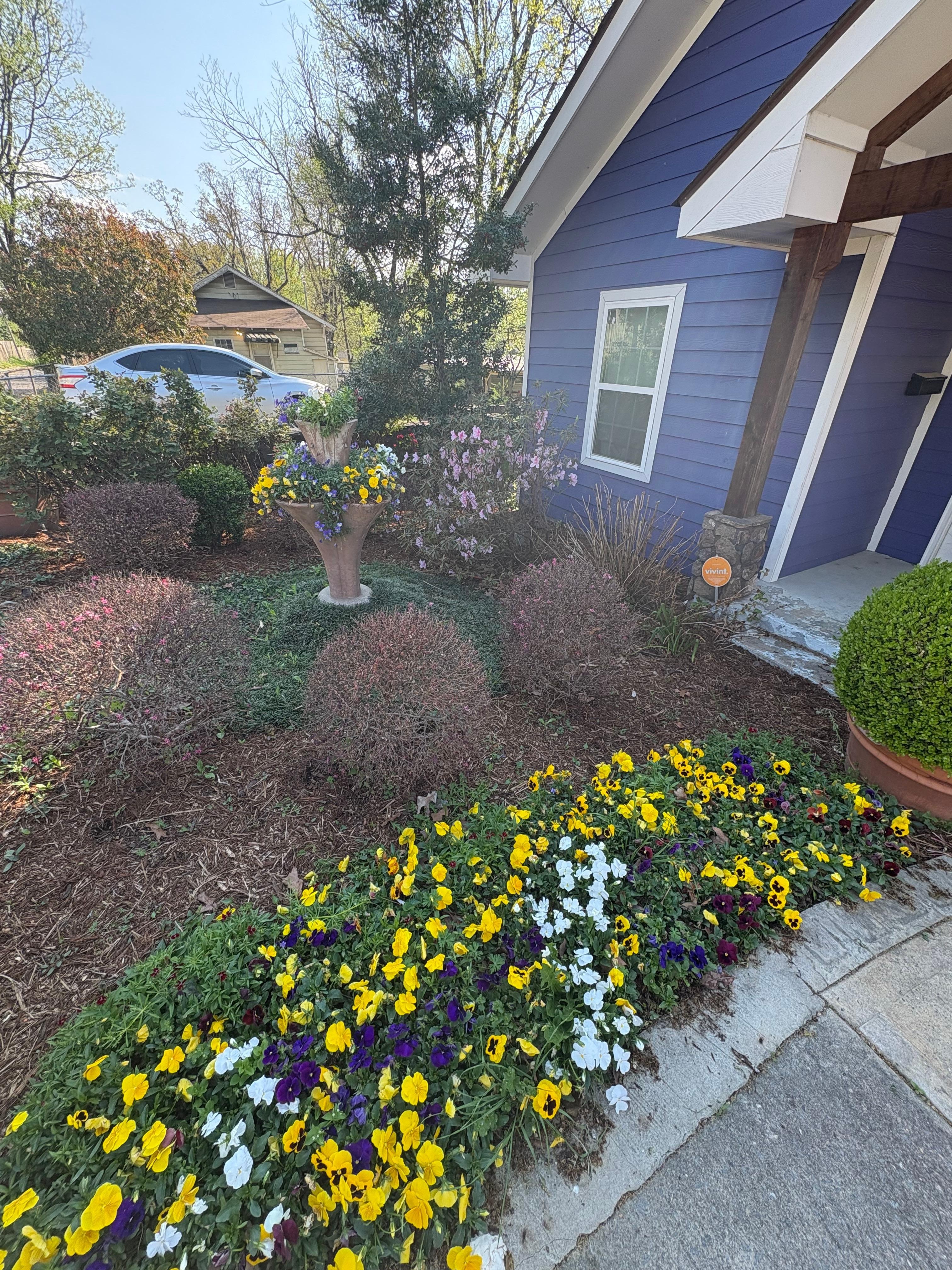 The landscaping was on point! Front and back. 
