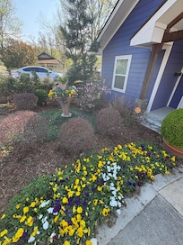 The landscaping was on point! Front and back.
