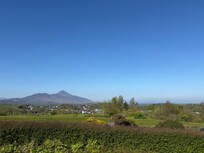 View from hotel