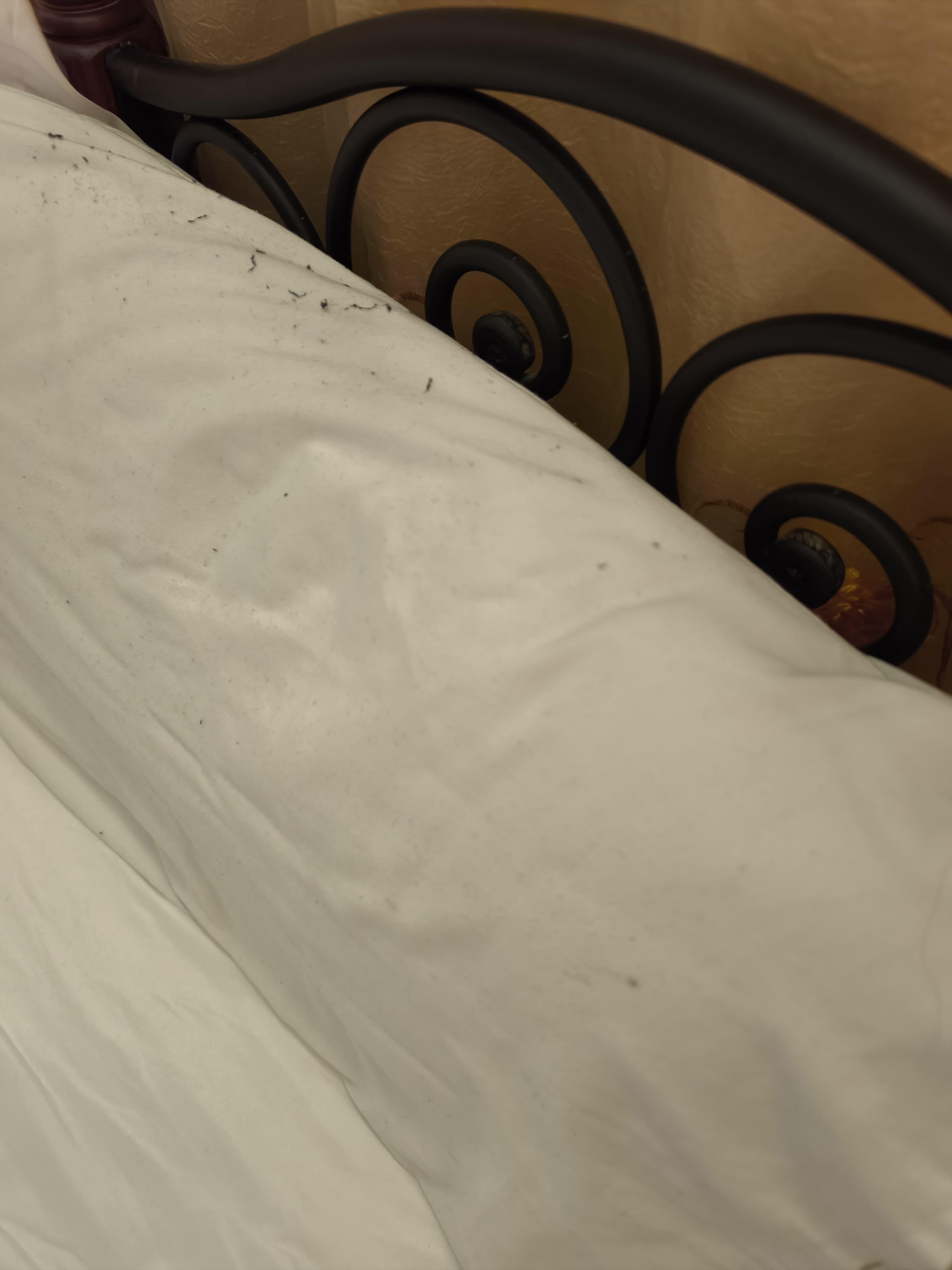 Auf dem Kopfkissen schwarze lange Haare!