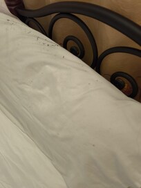 Auf dem Kopfkissen schwarze lange Haare!