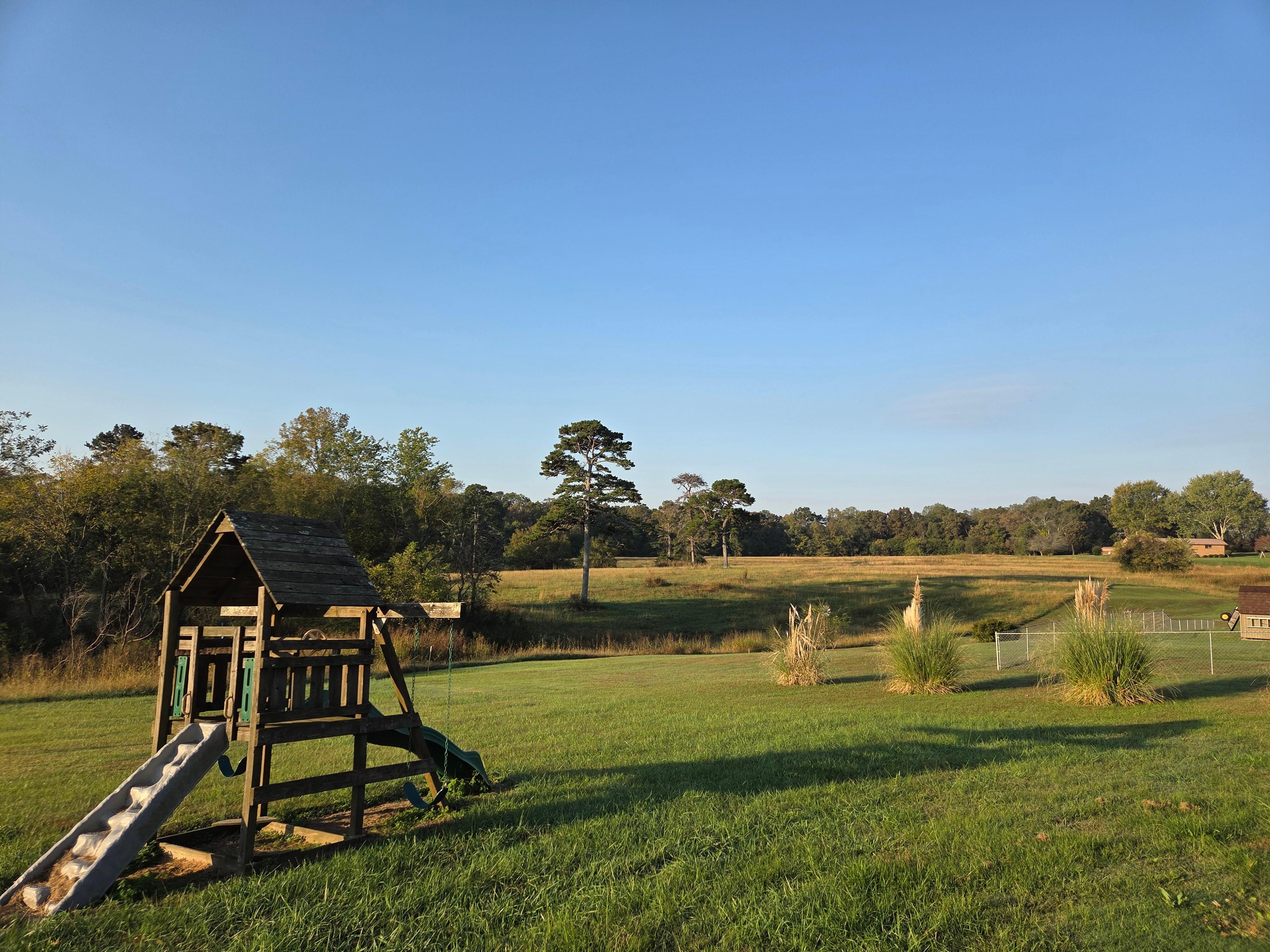 The backyard of the cabin.