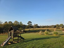 The backyard of the cabin.